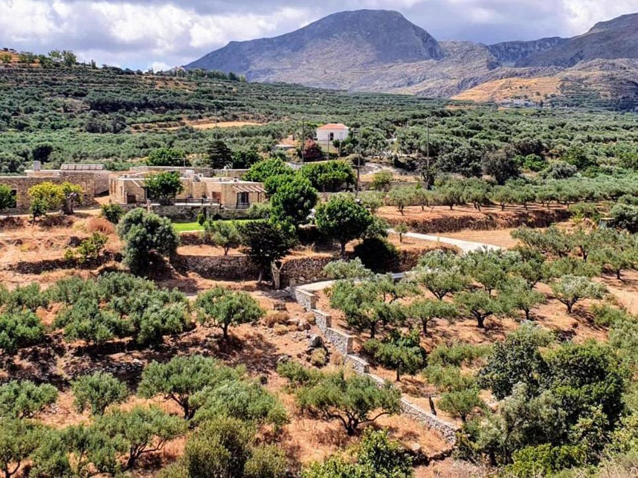 Petrakis Cretan Homes Kissamos Ngoại thất bức ảnh