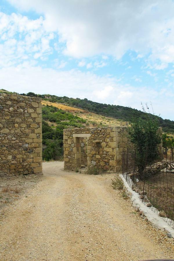 Petrakis Cretan Homes Kissamos Ngoại thất bức ảnh