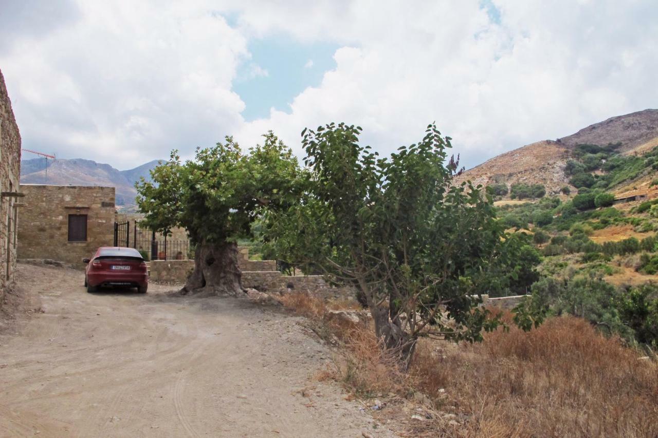 Petrakis Cretan Homes Kissamos Ngoại thất bức ảnh
