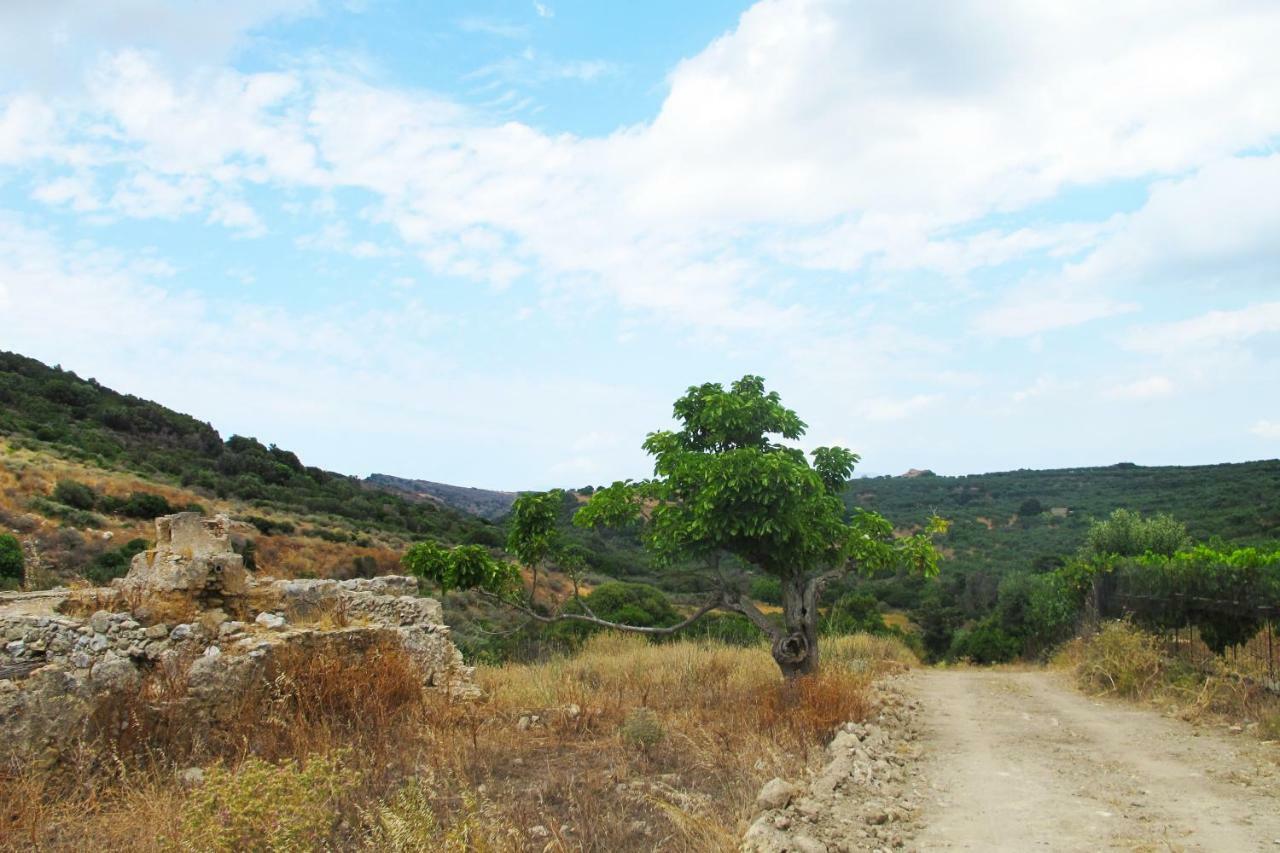 Petrakis Cretan Homes Kissamos Ngoại thất bức ảnh