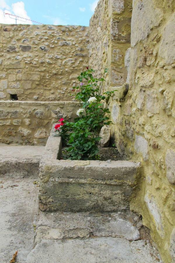 Petrakis Cretan Homes Kissamos Ngoại thất bức ảnh