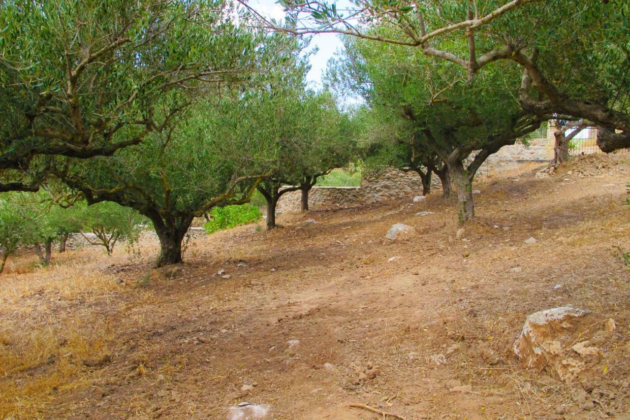 Petrakis Cretan Homes Kissamos Ngoại thất bức ảnh