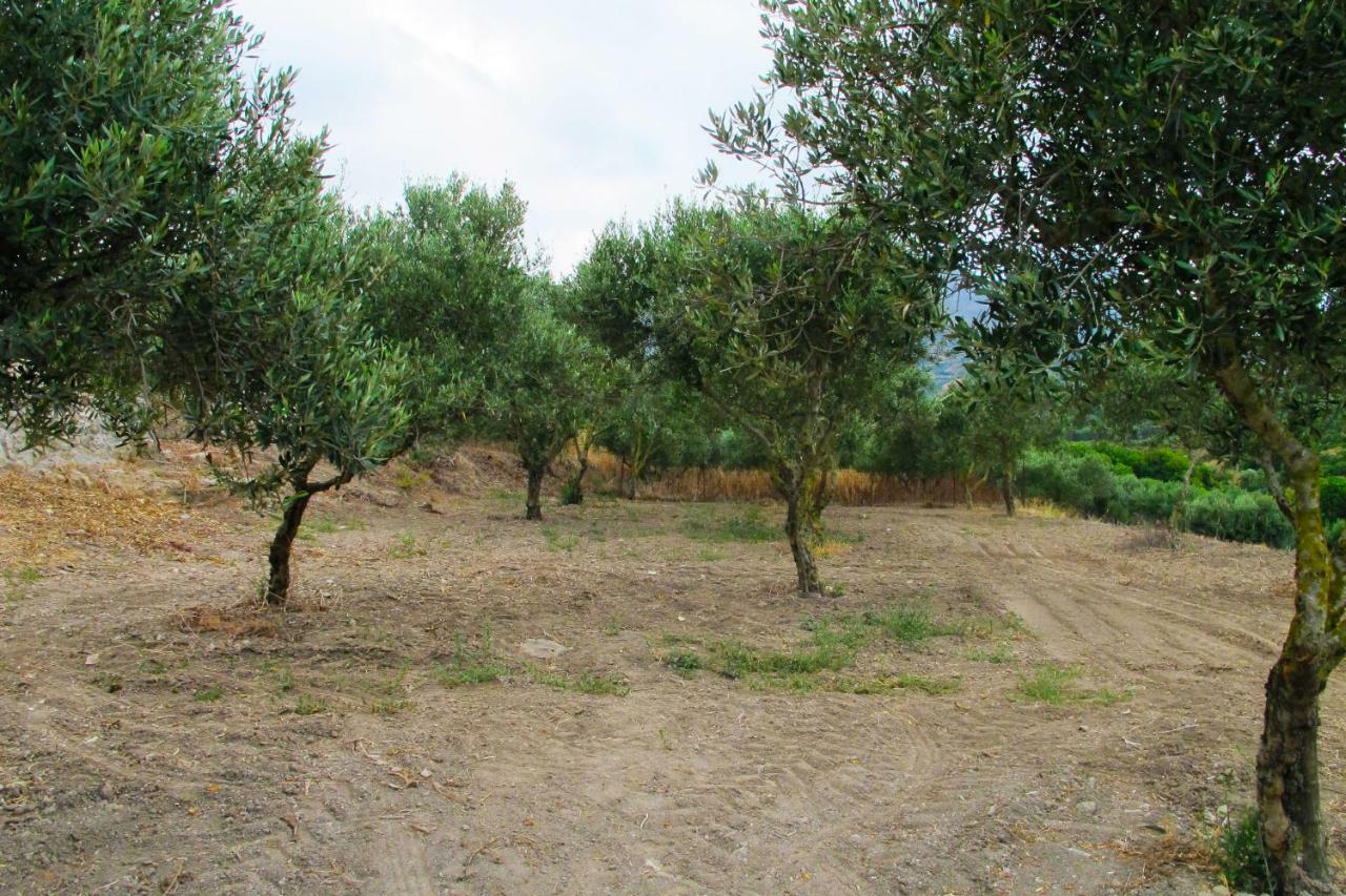 Petrakis Cretan Homes Kissamos Ngoại thất bức ảnh