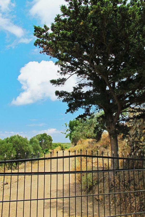 Petrakis Cretan Homes Kissamos Ngoại thất bức ảnh