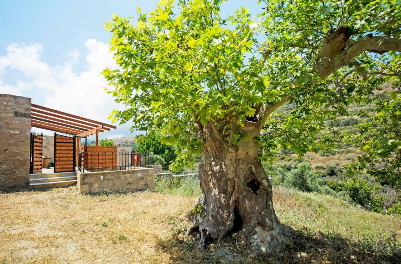 Petrakis Cretan Homes Kissamos Ngoại thất bức ảnh